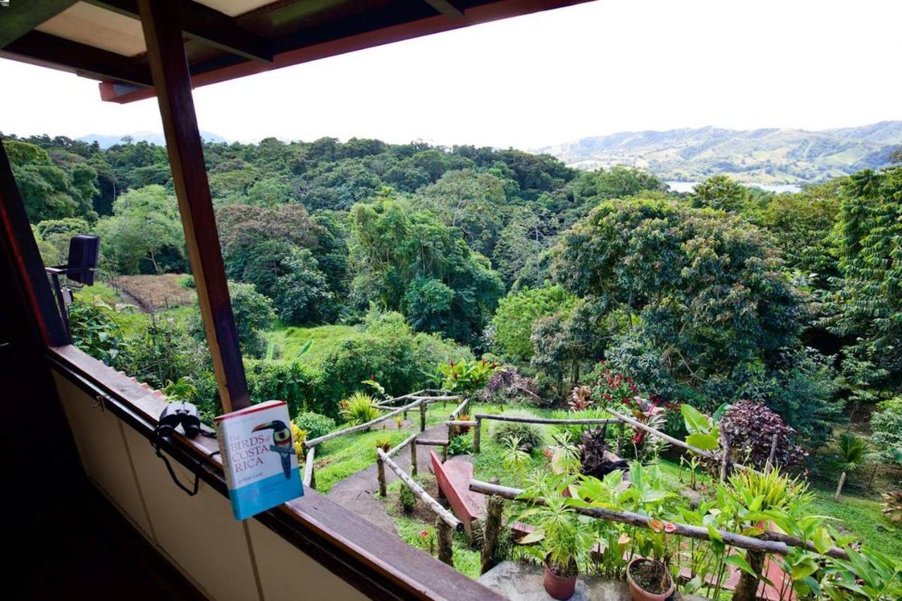 Toucan Lane Hotel And Restaurant Nuevo Arenal Exterior photo